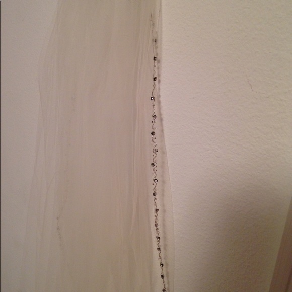 Beautiful Designer Anne Barge Wedding Gown - Picture 7 of 8